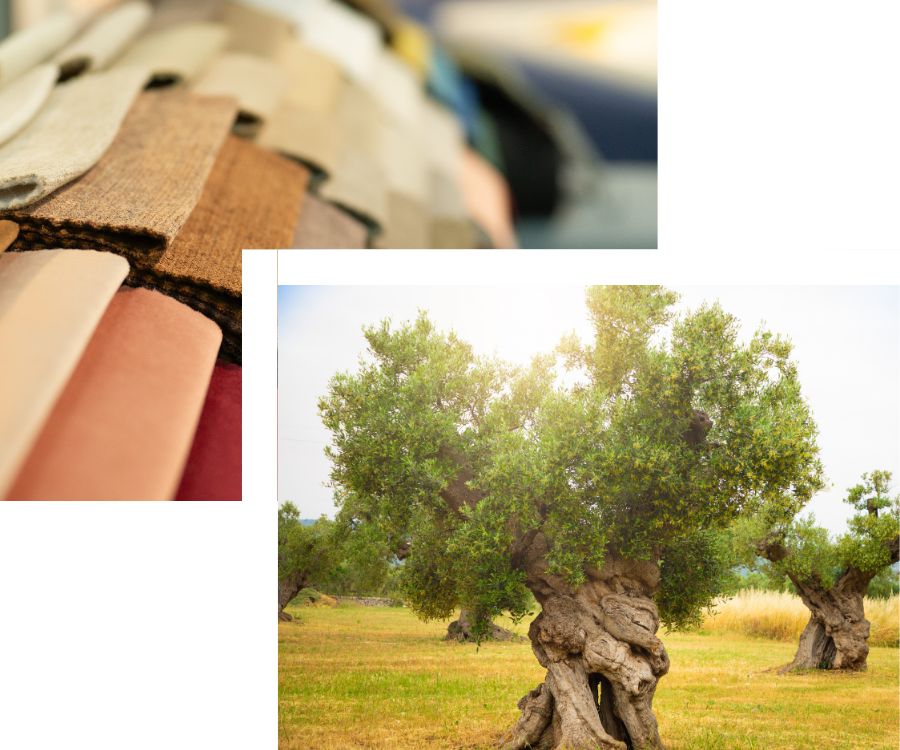 tapiceros-jaen-olivos